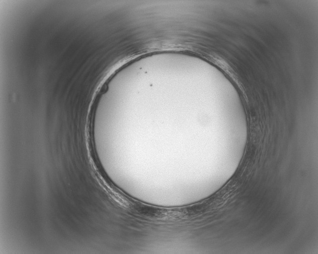 X0000052971187200508051006