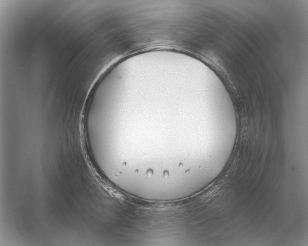 X0000052971190200508051006