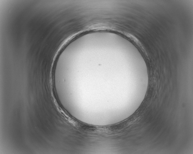 X0000052971191200508051006