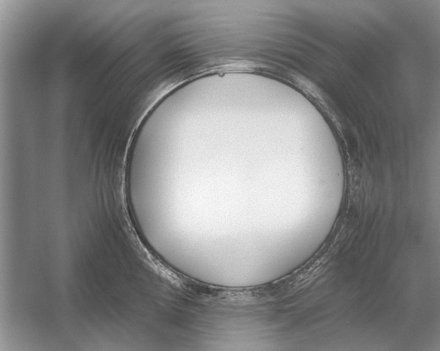 X0000052971194200508051006