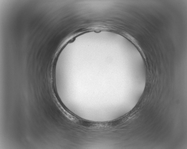 X0000052971195200508051006