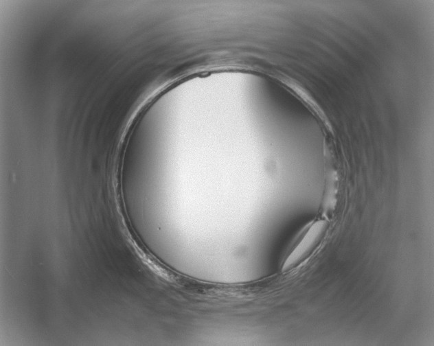 X0000052971197200508051006