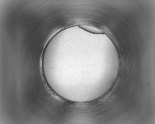 X0000052971198200508051006