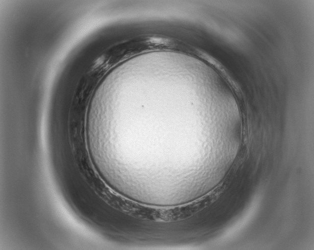 X0000052971199200508051006