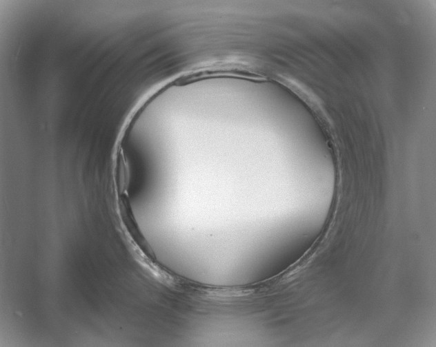 X0000052971200200508051006