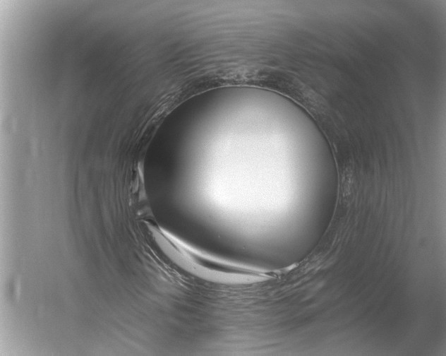 X0000052971202200508051005