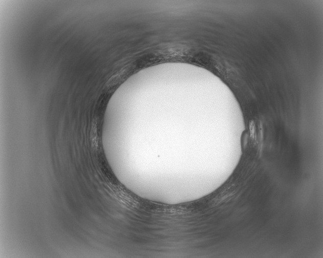 X0000052971203200508051005