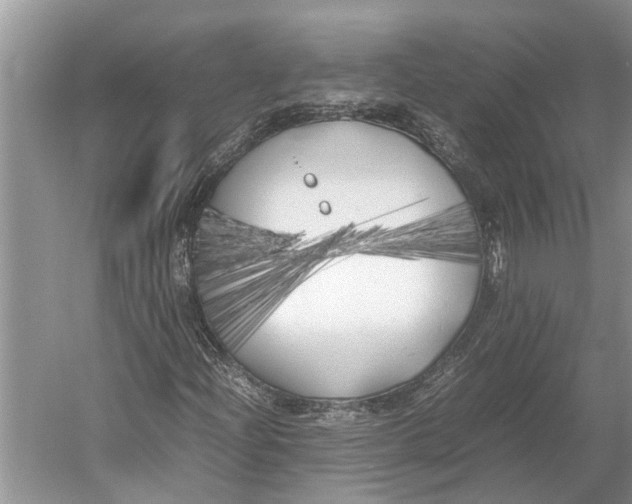 X0000052971204200508051005