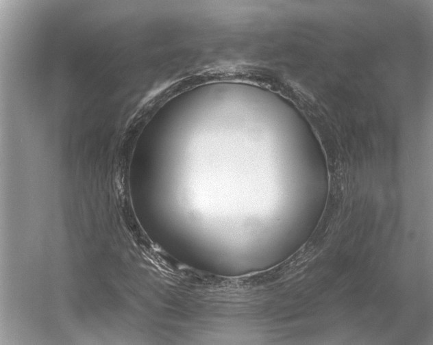 X0000052971206200508051005