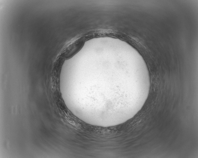 X0000052971207200508051005