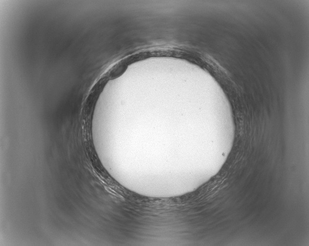 X0000052971208200508051005