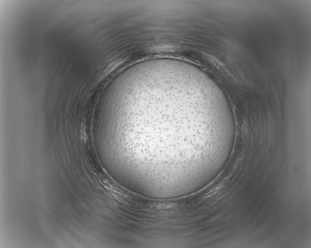 X0000052971209200508051005