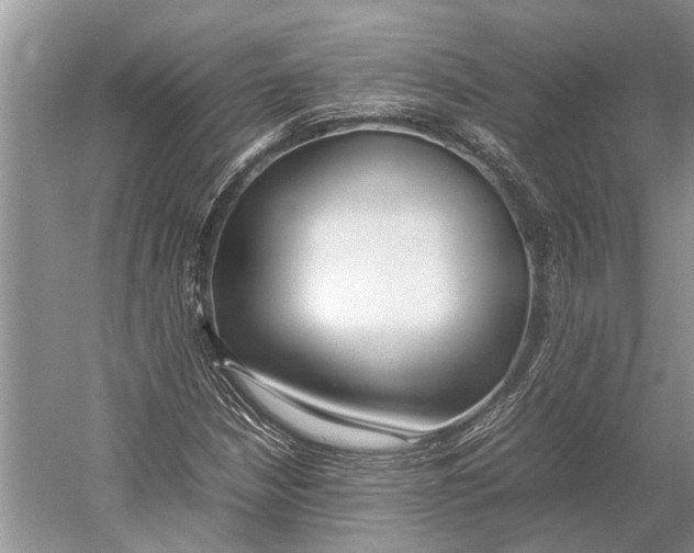 X0000052971210200508051005