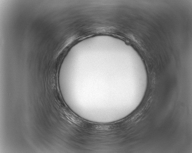 X0000052971211200508051005