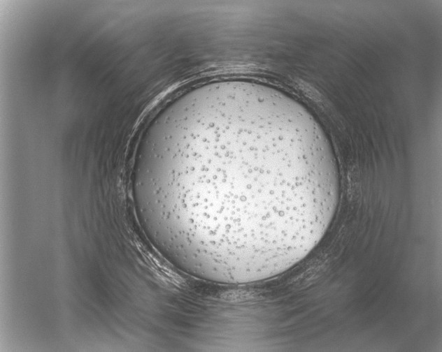 X0000052971212200508051006