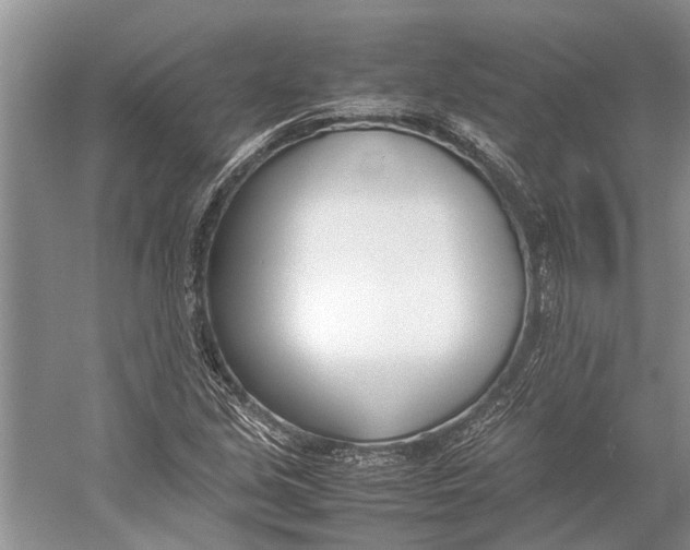 X0000052971213200508051006