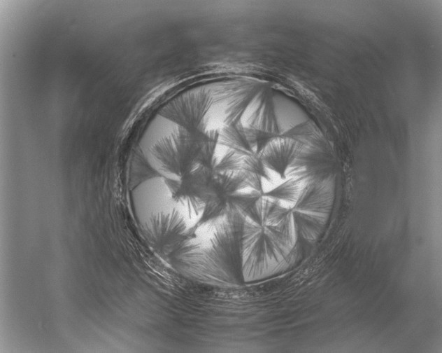 X0000052971215200508051006