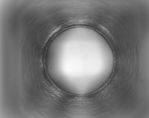 X0000052971218200508051006