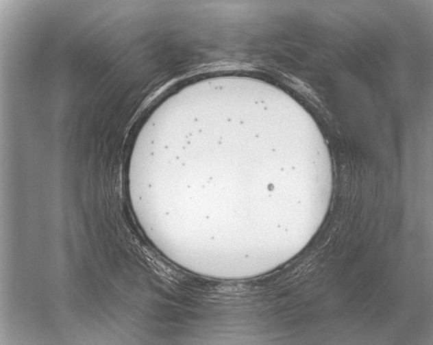 X0000052971220200508051006