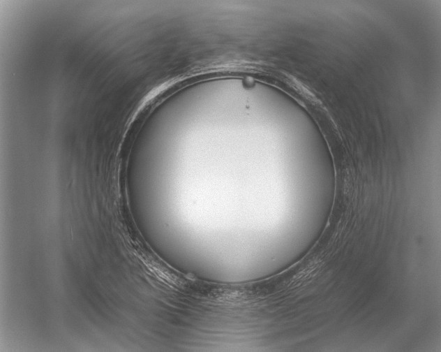 X0000052971222200508051006