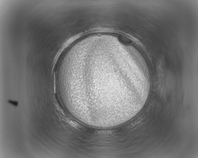 X0000052971223200508051006