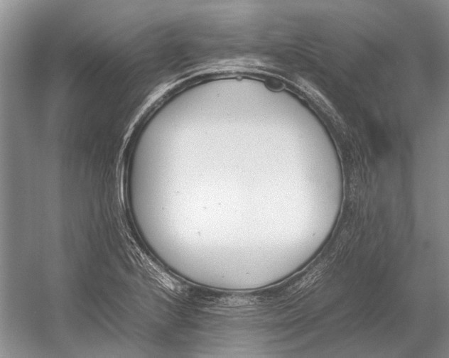 X0000052971224200508051006