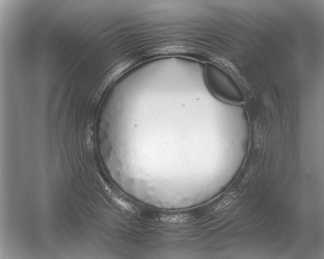 X0000052971225200508051006