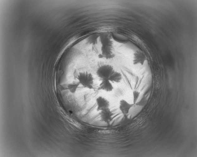 X0000052971227200508051006