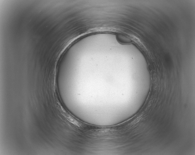 X0000052971228200508051006