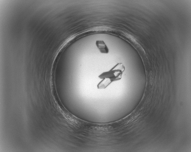 X0000052971229200508051006