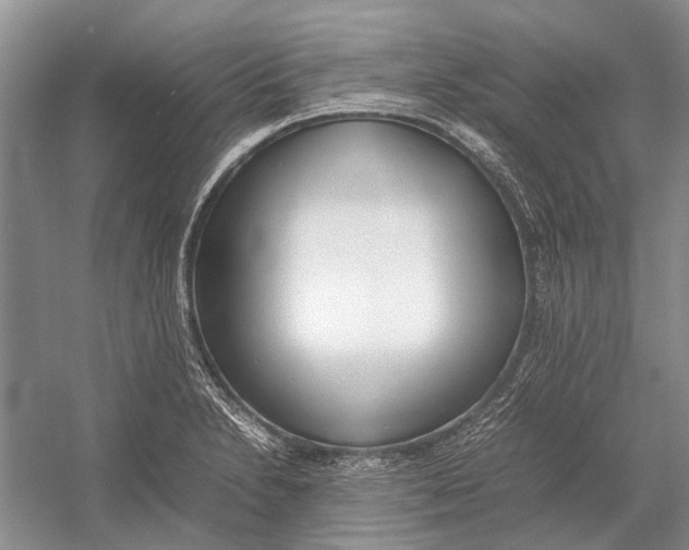 X0000052971230200508051006