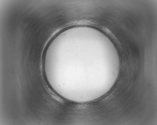 X0000052971232200508051006