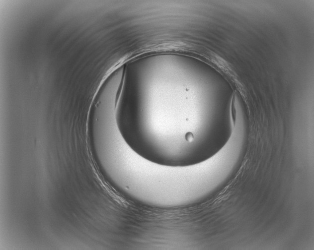 X0000052971234200508051006