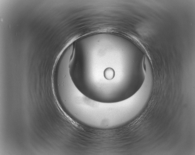 X0000052971235200508051006