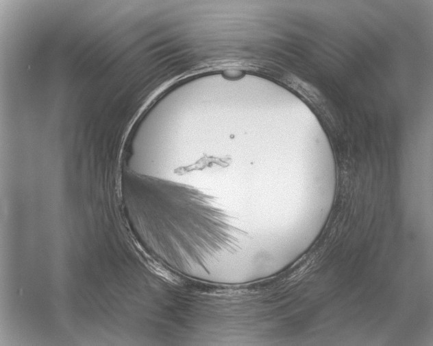 X0000052971236200508051006