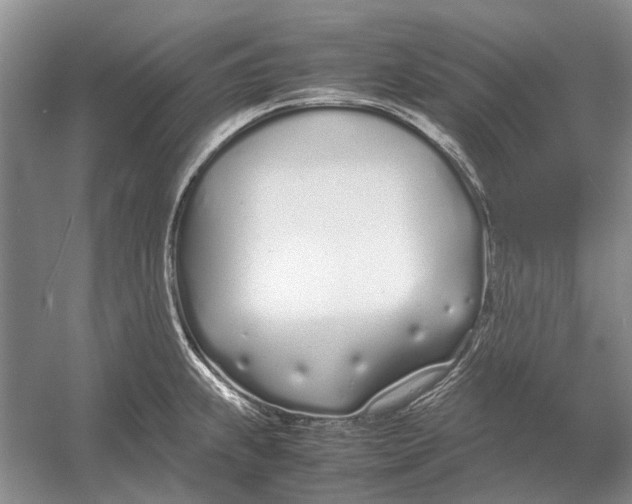 X0000052971239200508051006