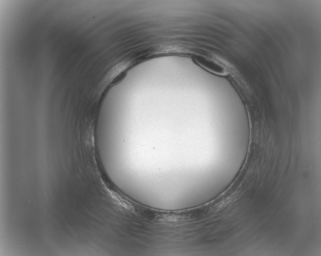 X0000052971241200508051006