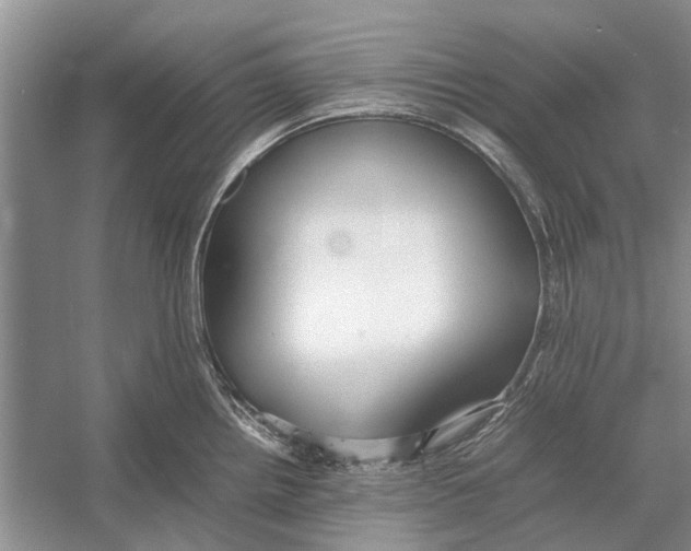 X0000052971242200508051006