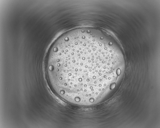 X0000052971243200508051006