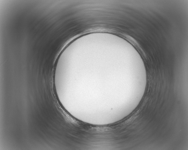 X0000052971244200508051006