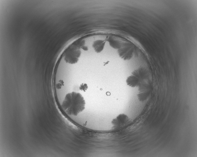 X0000052971247200508051006