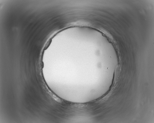 X0000052971248200508051006