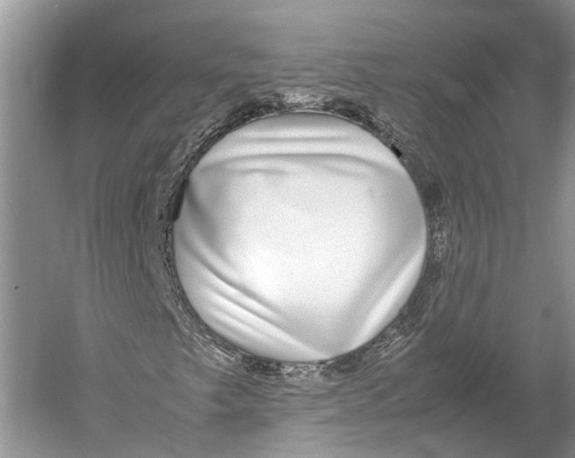 X0000052971249200508051005