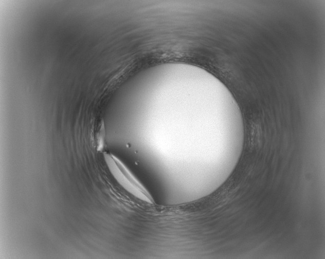 X0000052971250200508051005