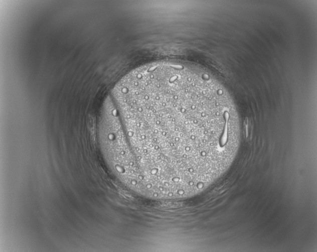 X0000052971251200508051005