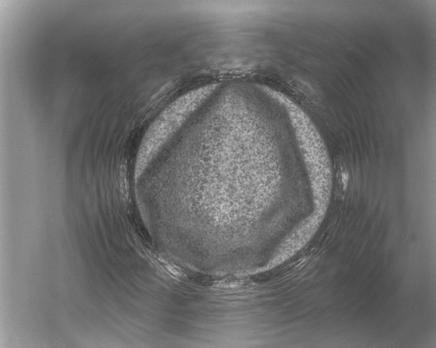 X0000052971252200508051005