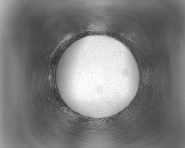 X0000052971254200508051005