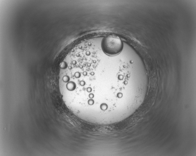 X0000052971255200508051005