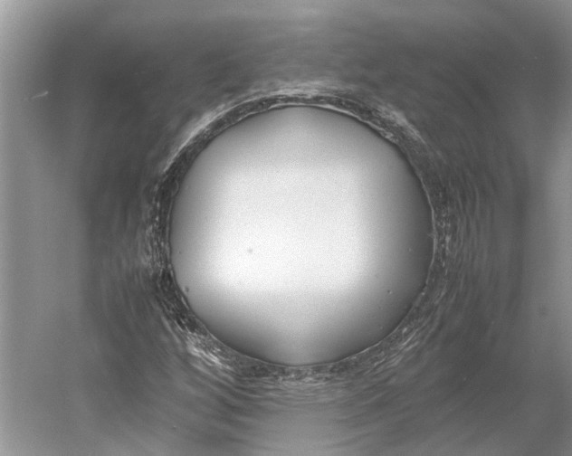 X0000052971256200508051005