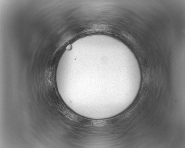 X0000052971258200508051005